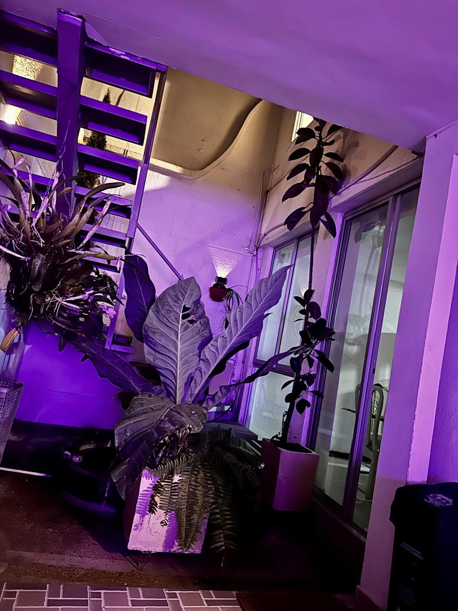 Hostel Brisas Del Nevado Ibagué Zewnętrze zdjęcie